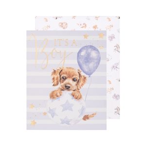 Bouncing Boy - It’s a Boy Card from Wrendale