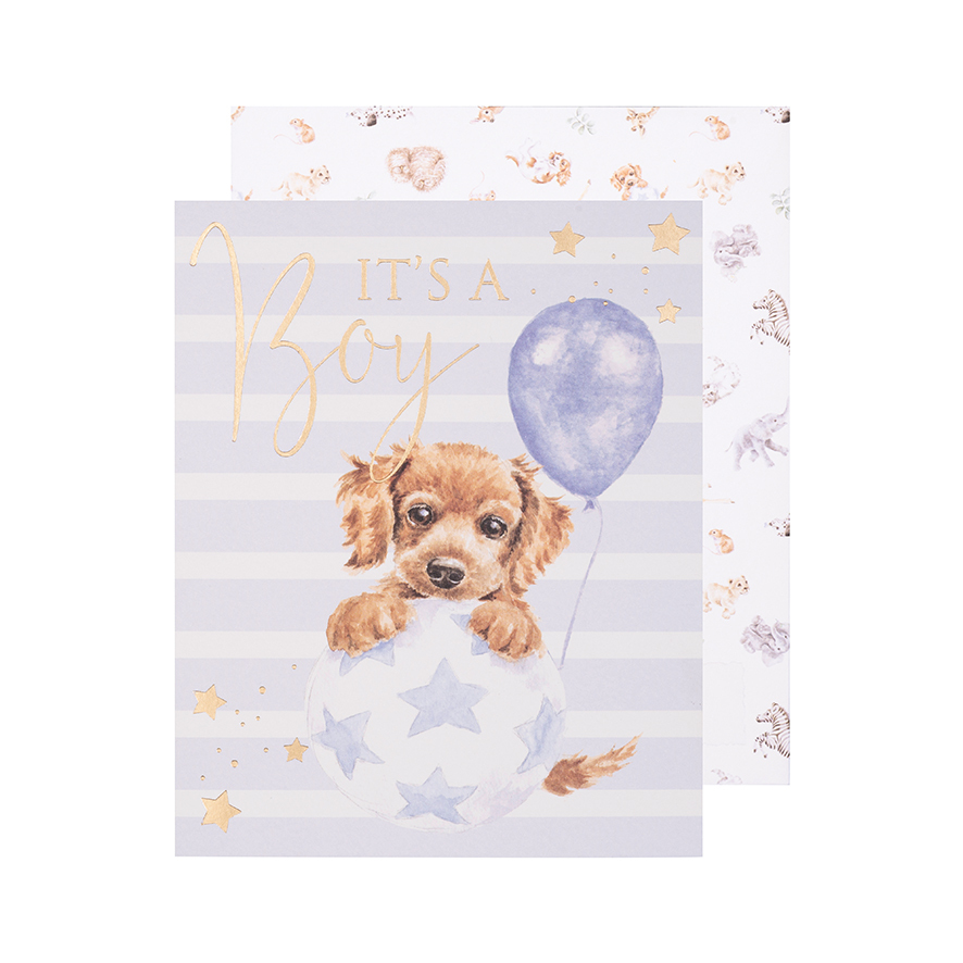 Bouncing Boy – It’s a Boy Card from Wrendale