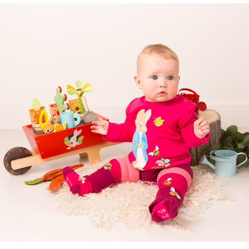 Peter Rabbit Autumn Leaf Top from Blade and Rose