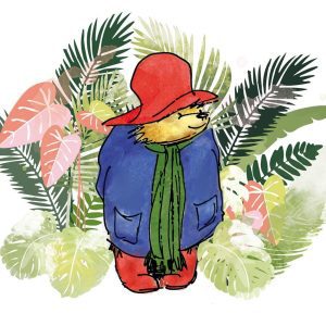Paddington Bear in The Jungle Blank Greetin G Card with Envelope