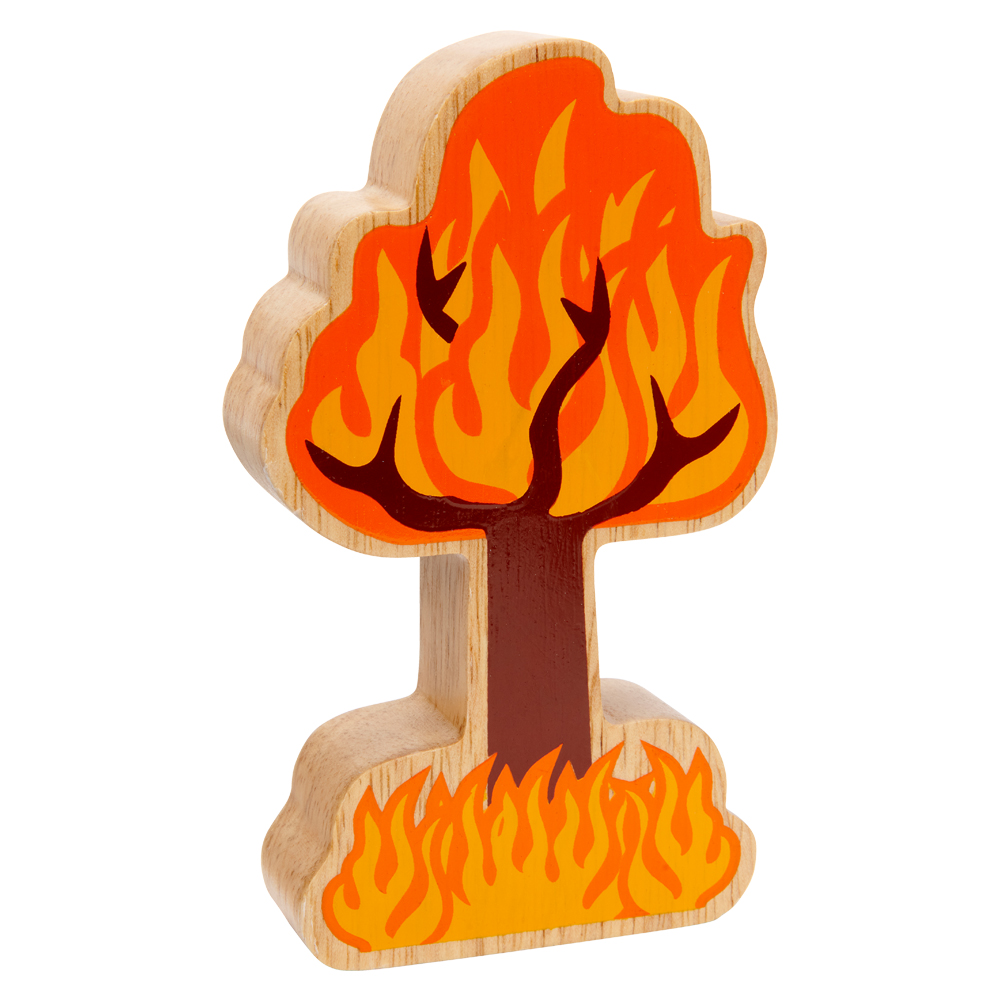 Green and Orange Tree on Fire