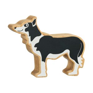 Black and White Dog