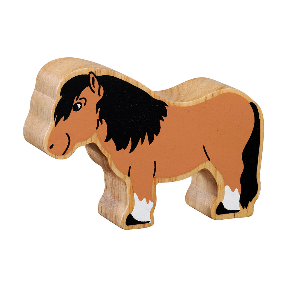 Shetland Pony