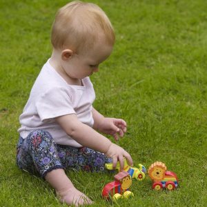 First Jungle Wooden Toy animals for Toddlers
