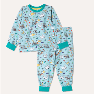 Pyjamas - The Giraffe and the Pelly and Me