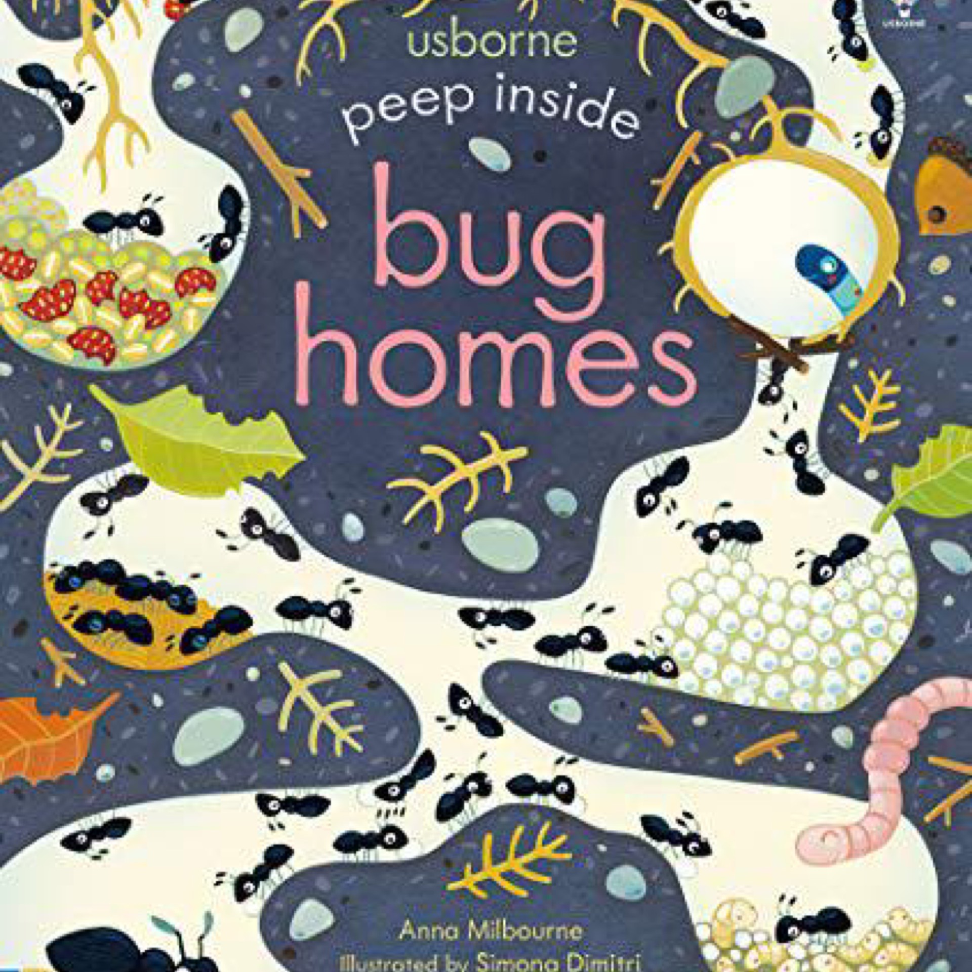 Peep Inside Bug Homes by Anna Milbourne
